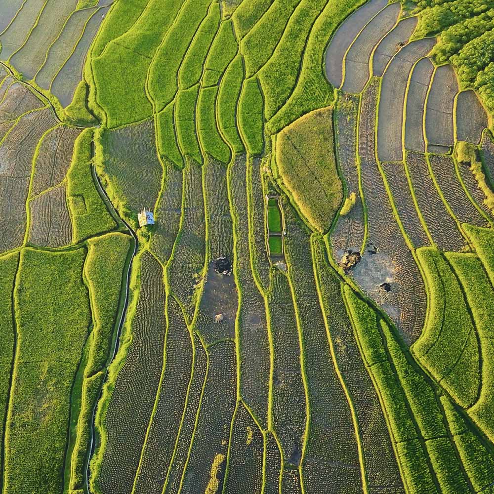 ORNSIRIN โครงการบ้านเชียงใหม่